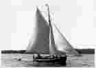 s/y FALKEN - uppvisningssegling vid Arholma 1946 (1)